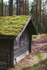 Wooden house with a green roof in the forest
