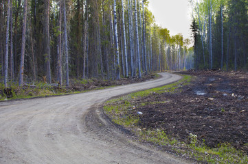 Obraz premium Dirt road