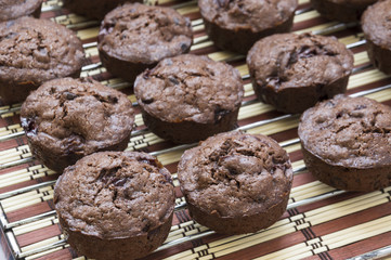 Plenty of small chocolate muffins on grid 