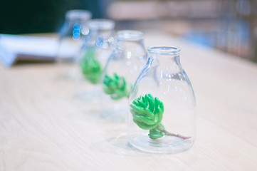Fir tree branch in the bottles,select focus