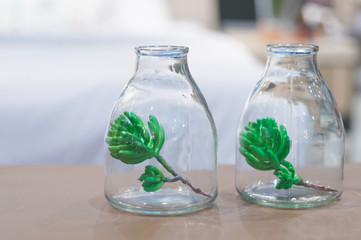 Fir tree branch in the bottles,select focus