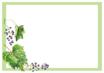 grapes, leaves, berries, watercolor