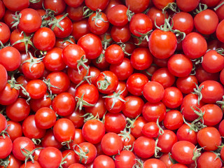 沢山のミニトマト