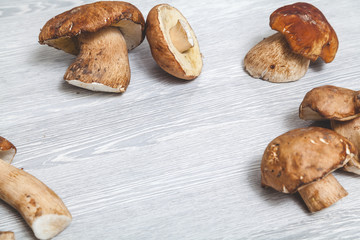 Group of mushrooms spread out on a gray surface