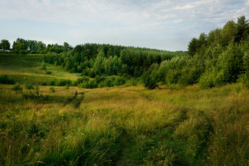 summer landscape, Russia
