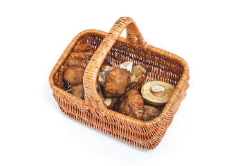 Forest Fruits. Basket with mushrooms