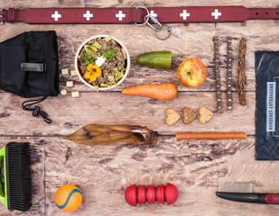 Flat lay alles was ein Hund braucht, table top mit Hundefutter, Spielzeug, Pflegeartikel