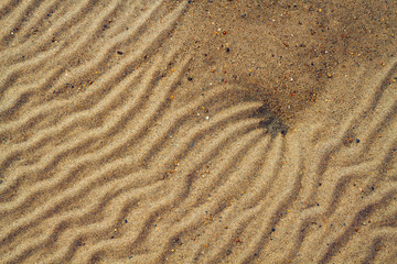 sandy background