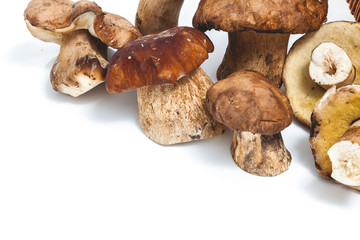Several fungi are diagonal