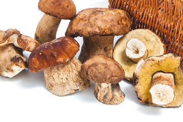 Group of mushrooms and cut a fragment of a basket
