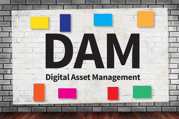 DAM Digital Asset Management Organization