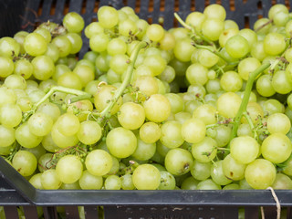 Green grapes at a market