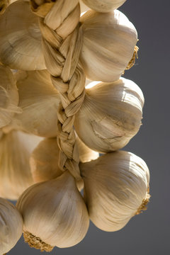 Hanging bunch of garlic bulbs