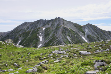 Fototapeta premium 浄土山から見る立山