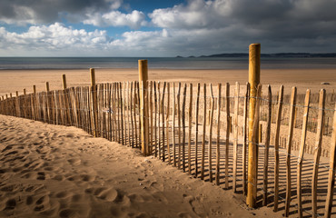 Fototapeta na wymiar Stabilizing dunes by planting grass on Swansea Bay.