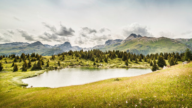 Alp Flix, Lais Blos, Savognin, Graubuenden, Switzerland