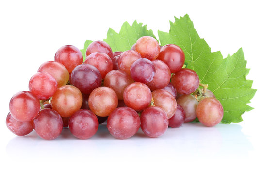 Trauben Weintrauben rot frische Früchte Obst Freisteller freige