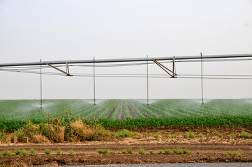 Mobile irrigation robot watering field