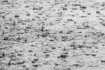 Falling raindrops in a puddle