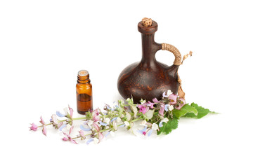 Flowering sage and fragrant oil .