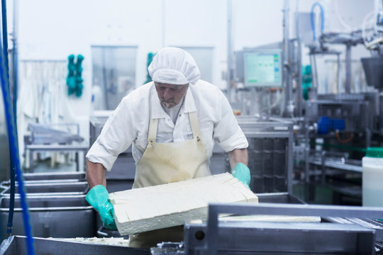 Male worker working in organic tofu production factory