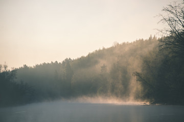 beautiful foggy river in forest - vintage film effect