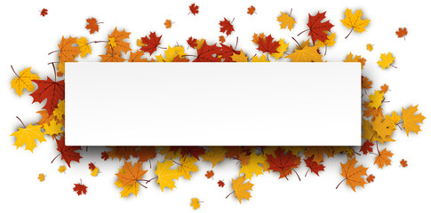 Autumn banner with maple leaves.