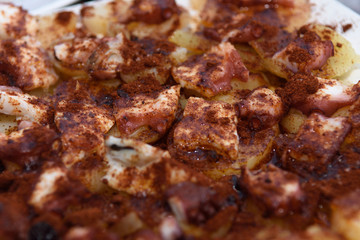 Galician octopus