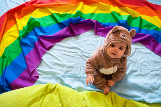 Baby bear
