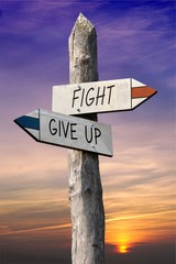 Fight or give up signpost