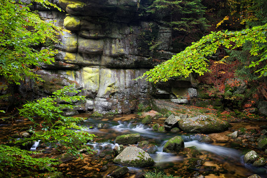 Stream and Cliff in Mountain Forest