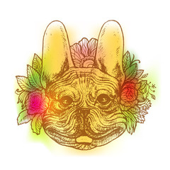 Hand drawn portrait of Bulldog with flower floral. Vectorial isolated elements.