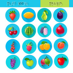 Fruits Set Colorful Icon Collection