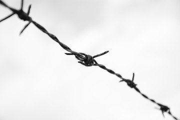 black and white barbed wire blackground