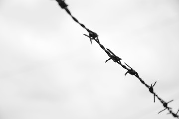 closeup black and white barbed wire