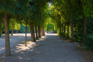 Park in Vienna, Austria