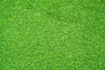 Obraz premium green grass texture