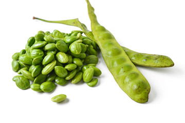parkia speciosa