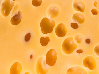piece of cheese isolated