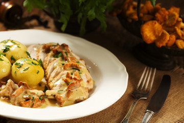 Roasted chicken breast served in a mushroom chanterelle sauce.