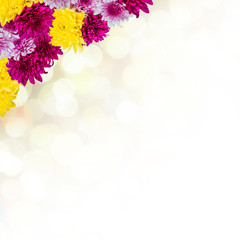 Background with chrysanthemum
