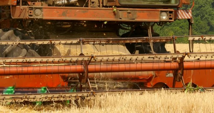 A red old combine harvester in a wheat field
