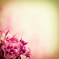 Fototapeta premium Background with flowers