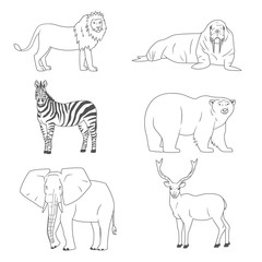 Set of animals,wild predators and herbivores