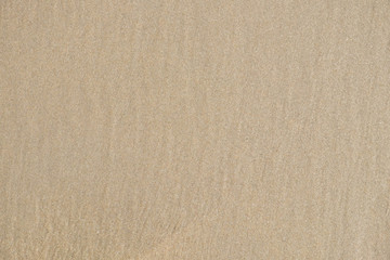 brown sand textture background