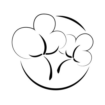 Cotton logo. Linear cotton symbol. Isolated illustration. Vector icon.