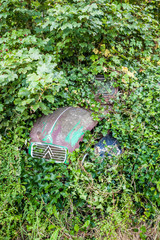 Fototapeta premium Nature takes over