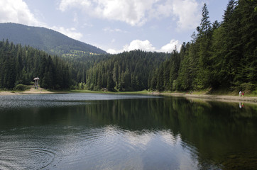 Mountain Lake Synevir in the Ukrainian Carpathians

