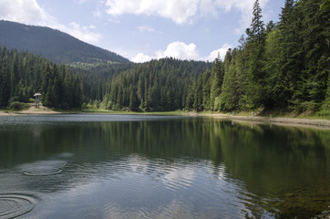 Fototapeta na wymiar Mountain Lake Synevir in the Ukrainian Carpathians 