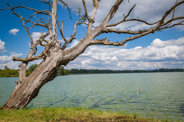 View of the Jarohnevicky pond in Moravia